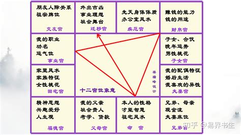 紫薇十二宫|紫微斗数 